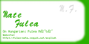 mate fulea business card